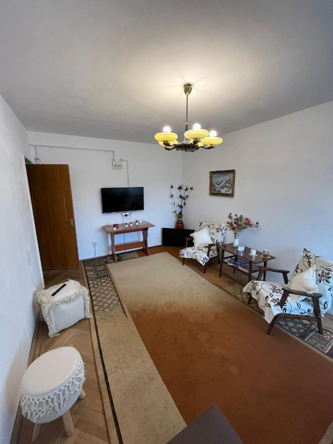 Appartement Lala's sweet nest à Călimăneşti Extérieur photo