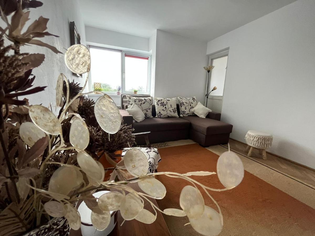 Appartement Lala's sweet nest à Călimăneşti Extérieur photo