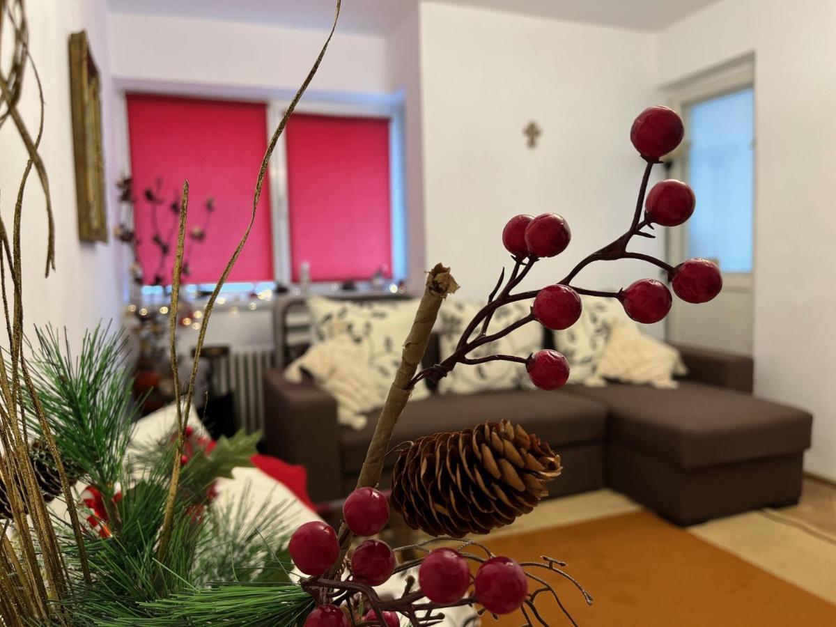 Appartement Lala's sweet nest à Călimăneşti Extérieur photo