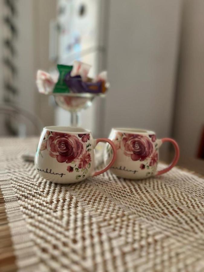 Appartement Lala's sweet nest à Călimăneşti Extérieur photo